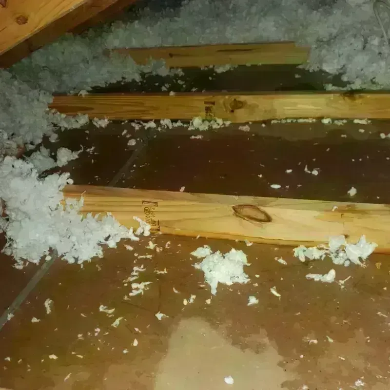 Attic Water Damage in Gold River, CA