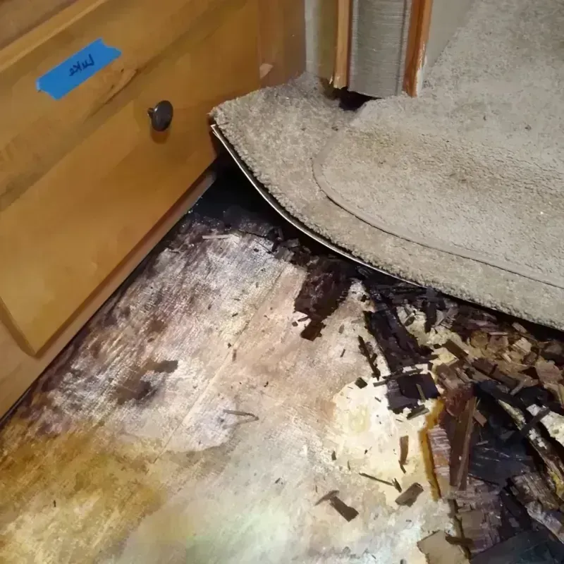 Wood Floor Water Damage in Gold River, CA